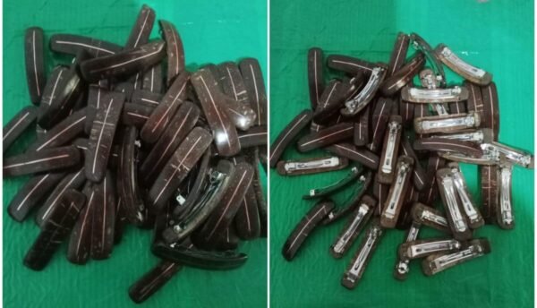 Coconut Shell Hair Clips