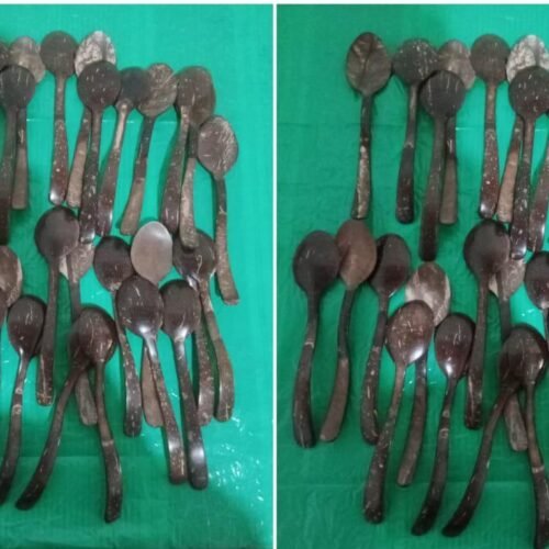 Coconut Shell Spoons