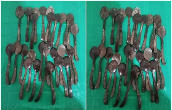 Coconut Shell Spoons