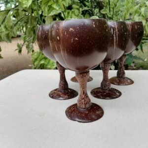 Coconut Shell Cups
