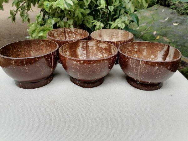 Coconut Shell Cups