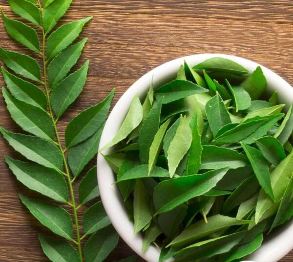 Curry_leaves_898 Curry Leaves