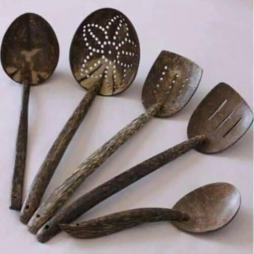 Coconut Shell Spoon Set
