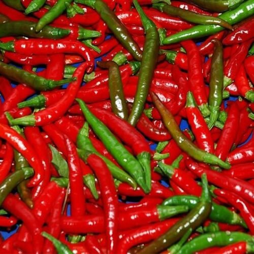 Chilli