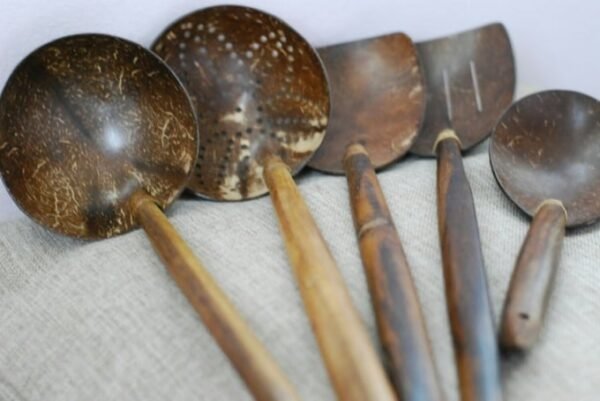 Coconut Shell Spoon Set
