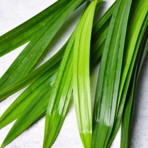 Pandan Leaves